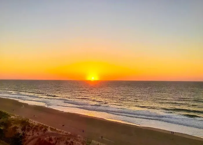 Antigua 804 *